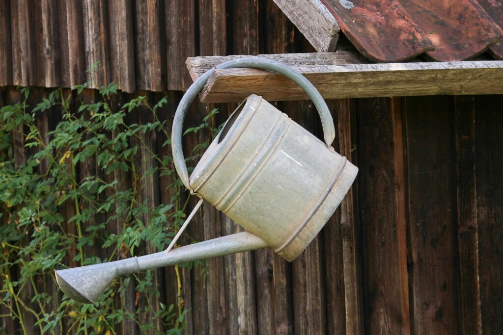 watering can gb9b221fcb 1920