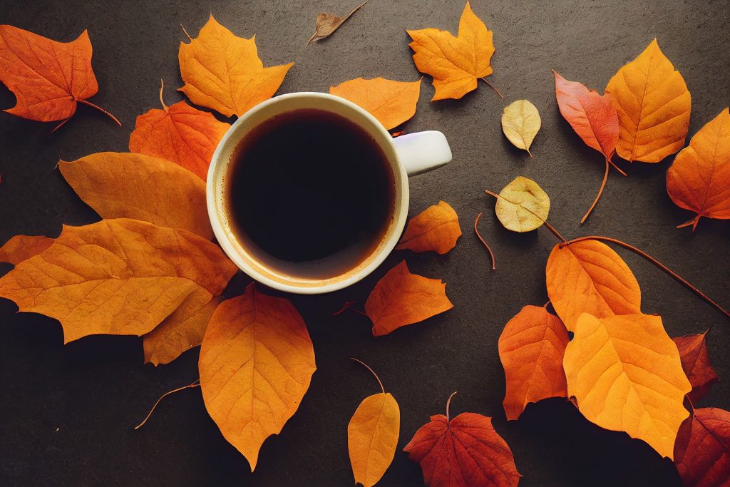 Autumn Tea Blends Recipes & Benefits | Upper Street Home