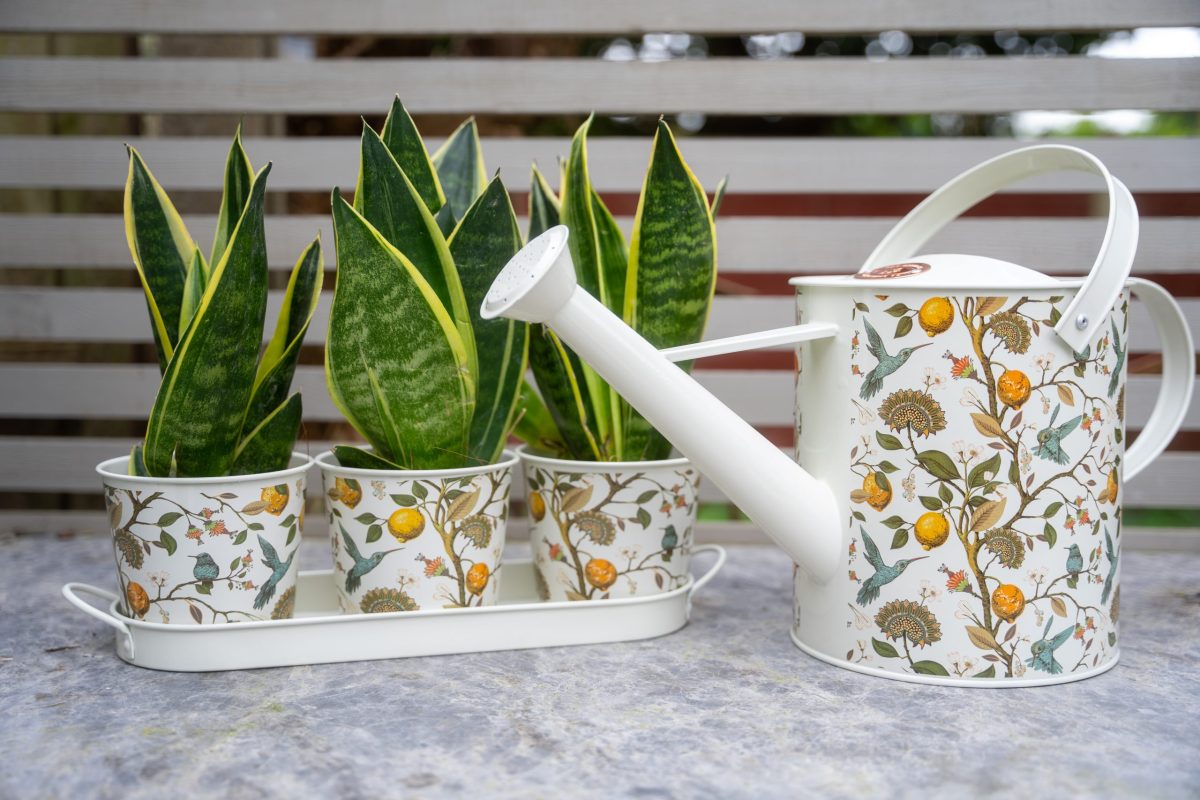 Hummingbird Watering Can