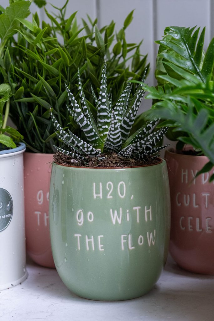 Upper Street Home | Beautiful British-Designed Homeware & Garden Gifts | Upper Street Home Gardening Gifts Category