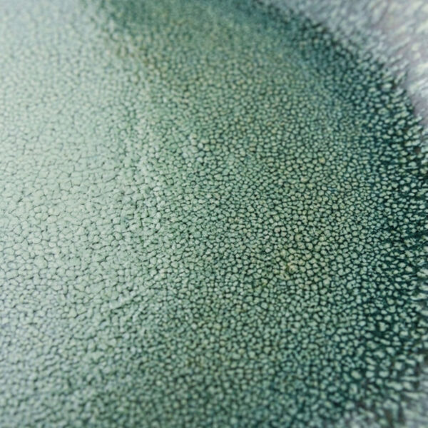 green reactive glaze dinner plates