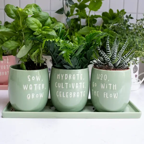 garden gifts for plant lovers