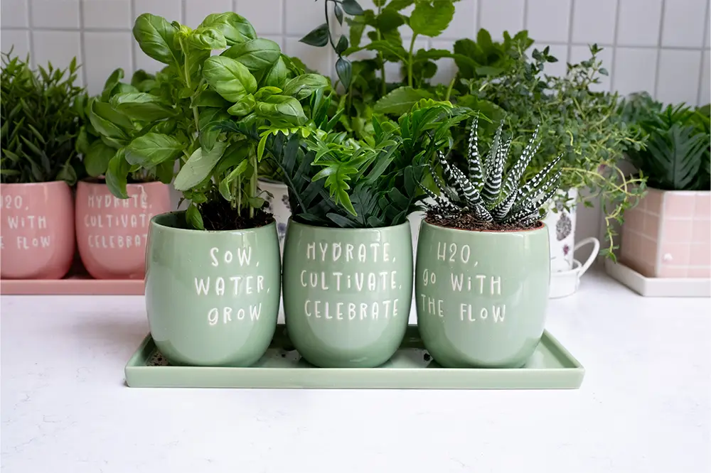 Garden Gifts for Plant Lovers: Stylish, Useful Ideas | Upper Street Home garden gifts for plant lovers