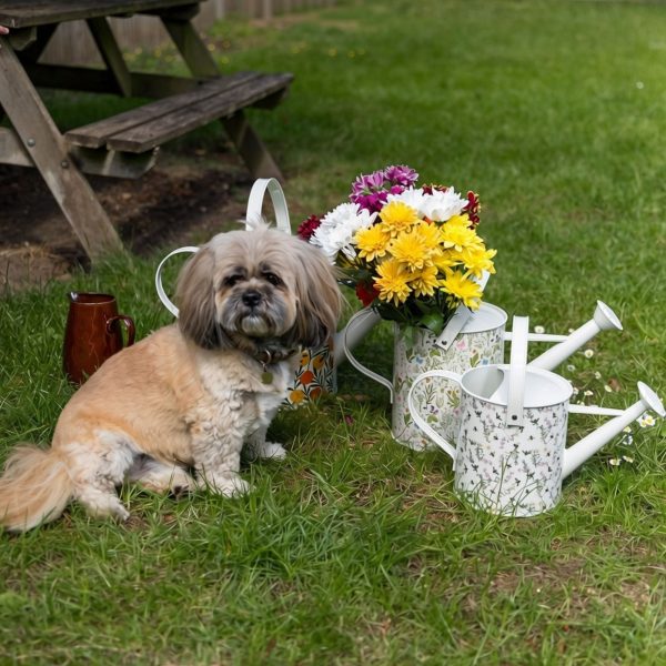 The British Gardening Company | Upper Street Home lifestyle group with tino sq